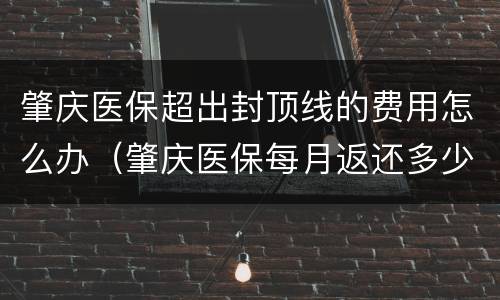 肇庆医保超出封顶线的费用怎么办（肇庆医保每月返还多少钱）