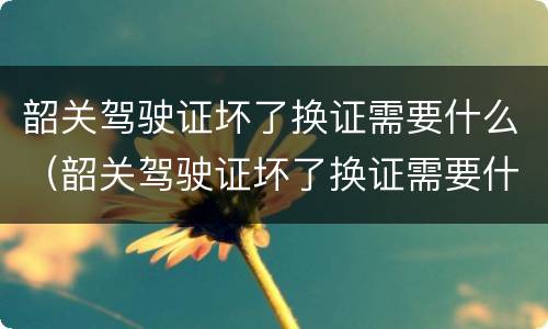 韶关驾驶证坏了换证需要什么（韶关驾驶证坏了换证需要什么材料）