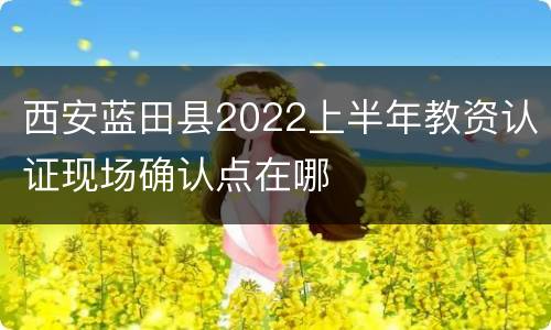 西安蓝田县2022上半年教资认证现场确认点在哪