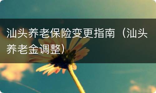 汕头养老保险变更指南（汕头养老金调整）