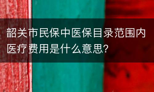 韶关市民保中医保目录范围内医疗费用是什么意思？