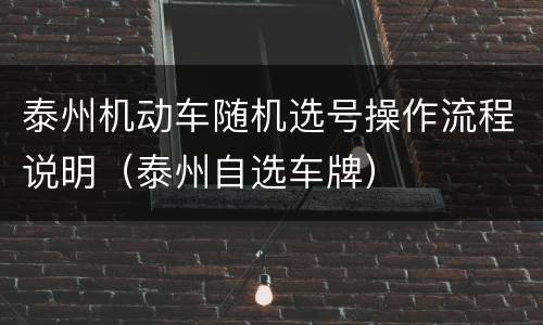 泰州机动车随机选号操作流程说明（泰州自选车牌）