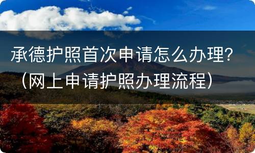承德护照首次申请怎么办理？（网上申请护照办理流程）