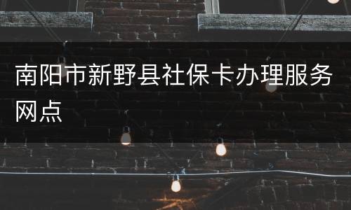 南阳市新野县社保卡办理服务网点