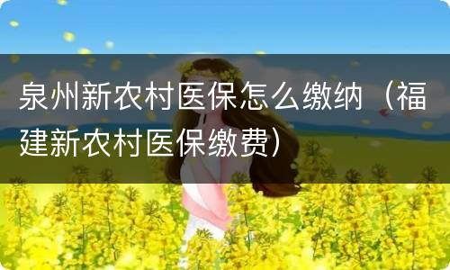 泉州新农村医保怎么缴纳（福建新农村医保缴费）
