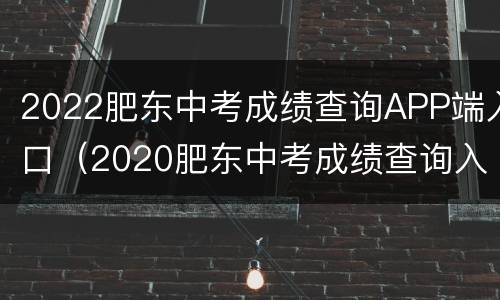 2022肥东中考成绩查询APP端入口（2020肥东中考成绩查询入口）
