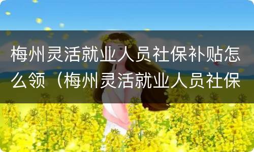 梅州灵活就业人员社保补贴怎么领（梅州灵活就业人员社保多少钱）