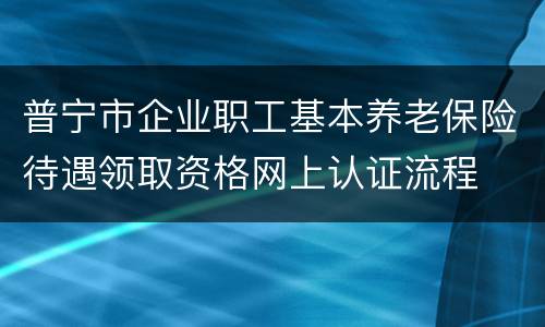 普宁市企业职工基本养老保险待遇领取资格网上认证流程