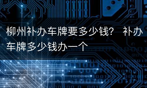柳州补办车牌要多少钱？ 补办车牌多少钱办一个