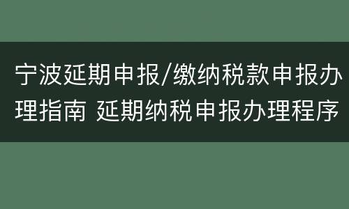 宁波延期申报/缴纳税款申报办理指南 延期纳税申报办理程序