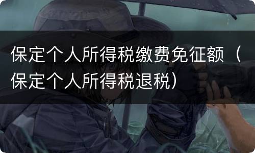 保定个人所得税缴费免征额（保定个人所得税退税）