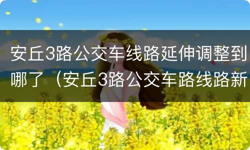 安丘3路公交车线路延伸调整到哪了（安丘3路公交车路线路新线）