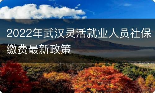 2022年武汉灵活就业人员社保缴费最新政策