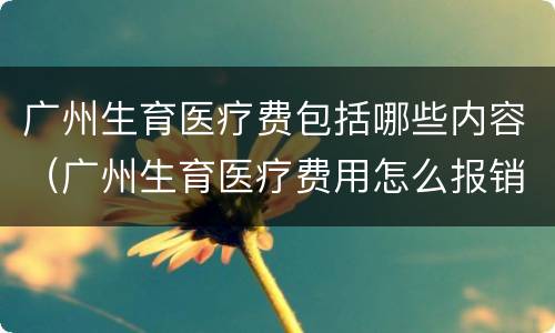 广州生育医疗费包括哪些内容（广州生育医疗费用怎么报销）