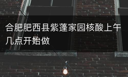 合肥肥西县紫蓬家园核酸上午几点开始做