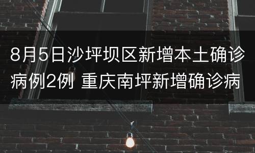8月5日沙坪坝区新增本土确诊病例2例 重庆南坪新增确诊病例