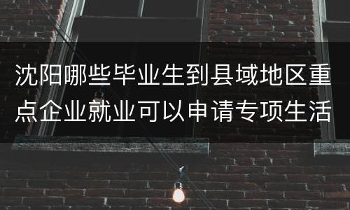 沈阳哪些毕业生到县域地区重点企业就业可以申请专项生活补贴？
