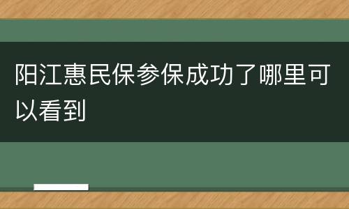 阳江惠民保参保成功了哪里可以看到
