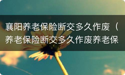 襄阳养老保险断交多久作废（养老保险断交多久作废养老保险断交）