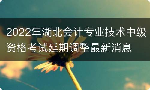 2022年湖北会计专业技术中级资格考试延期调整最新消息