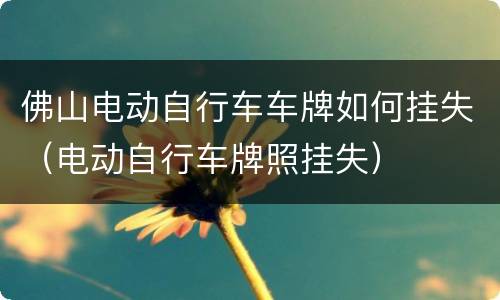 佛山电动自行车车牌如何挂失（电动自行车牌照挂失）