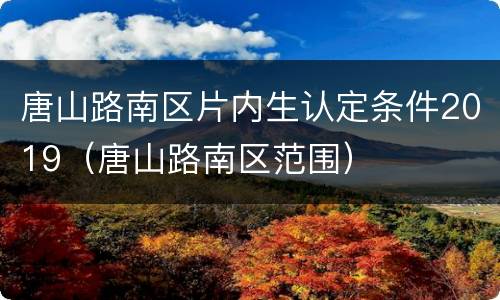 唐山路南区片内生认定条件2019（唐山路南区范围）