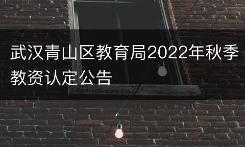 武汉青山区教育局2022年秋季教资认定公告