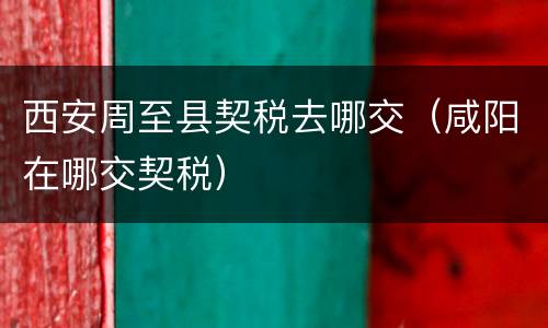 西安周至县契税去哪交（咸阳在哪交契税）