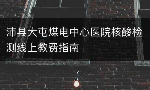 沛县大屯煤电中心医院核酸检测线上教费指南