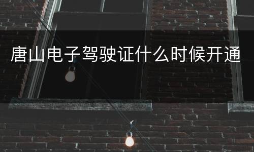 唐山电子驾驶证什么时候开通