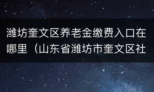 潍坊奎文区养老金缴费入口在哪里（山东省潍坊市奎文区社保查询）