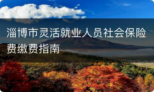 淄博市灵活就业人员社会保险费缴费指南