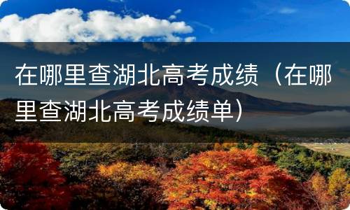 在哪里查湖北高考成绩（在哪里查湖北高考成绩单）