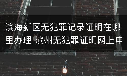 滨海新区无犯罪记录证明在哪里办理 滨州无犯罪证明网上申请
