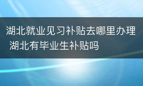 湖北就业见习补贴去哪里办理 湖北有毕业生补贴吗