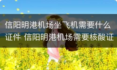 信阳明港机场坐飞机需要什么证件 信阳明港机场需要核酸证明吗