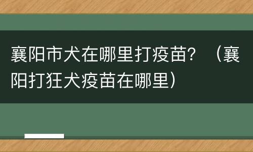 襄阳市犬在哪里打疫苗？（襄阳打狂犬疫苗在哪里）