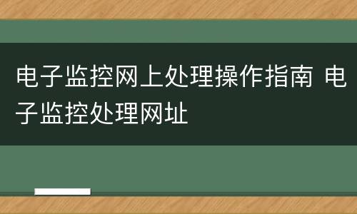电子监控网上处理操作指南 电子监控处理网址
