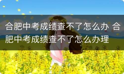 合肥中考成绩查不了怎么办 合肥中考成绩查不了怎么办理