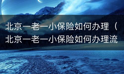 北京一老一小保险如何办理（北京一老一小保险如何办理流程）