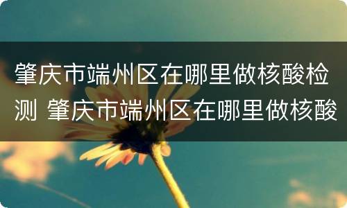 肇庆市端州区在哪里做核酸检测 肇庆市端州区在哪里做核酸检测最快
