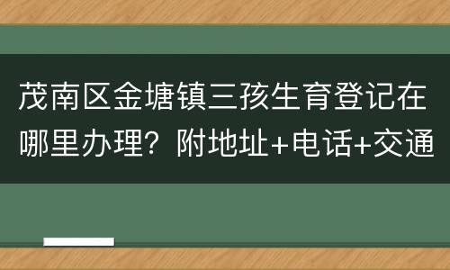 茂南区金塘镇三孩生育登记在哪里办理？附地址+电话+交通指引
