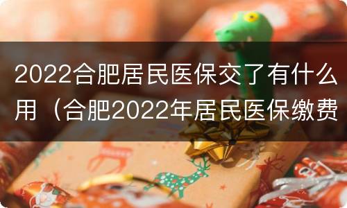 2022合肥居民医保交了有什么用（合肥2022年居民医保缴费截止时间）