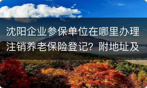 沈阳企业参保单位在哪里办理注销养老保险登记？附地址及电话