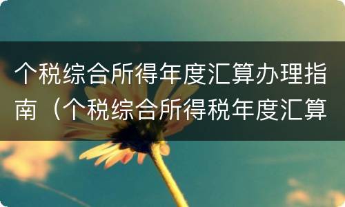 个税综合所得年度汇算办理指南（个税综合所得税年度汇算）