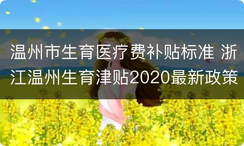 温州市生育医疗费补贴标准 浙江温州生育津贴2020最新政策