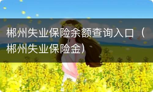 郴州失业保险余额查询入口（郴州失业保险金）