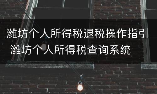 潍坊个人所得税退税操作指引 潍坊个人所得税查询系统