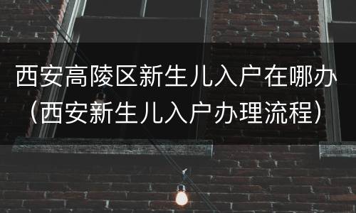 西安高陵区新生儿入户在哪办（西安新生儿入户办理流程）