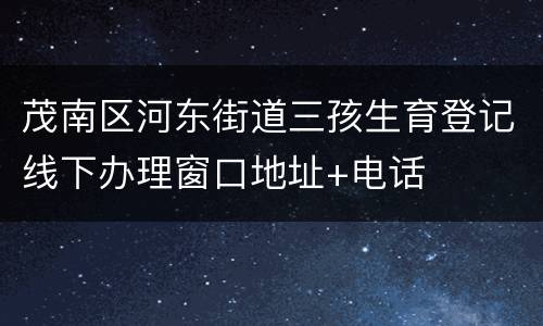 茂南区河东街道三孩生育登记线下办理窗口地址+电话